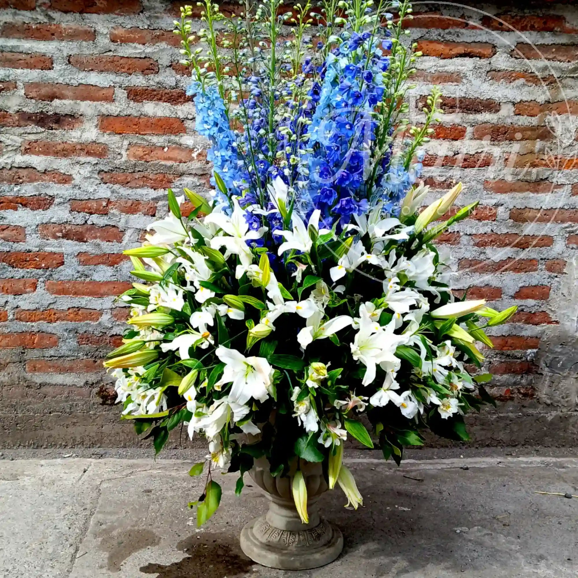 Ánfora blanca y azul 4