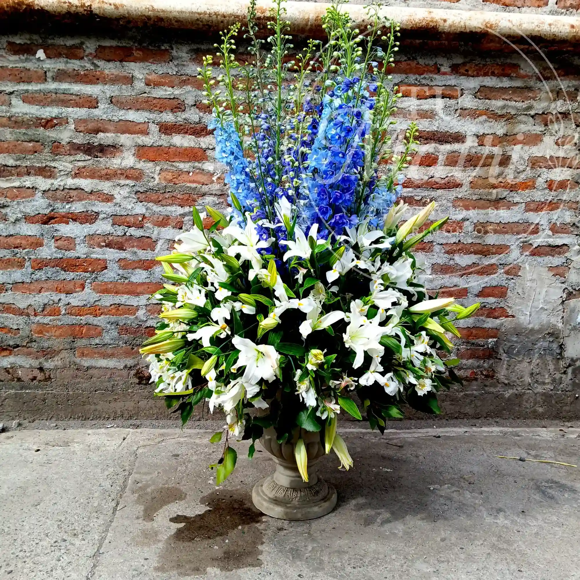 Ánfora blanca y azul 3