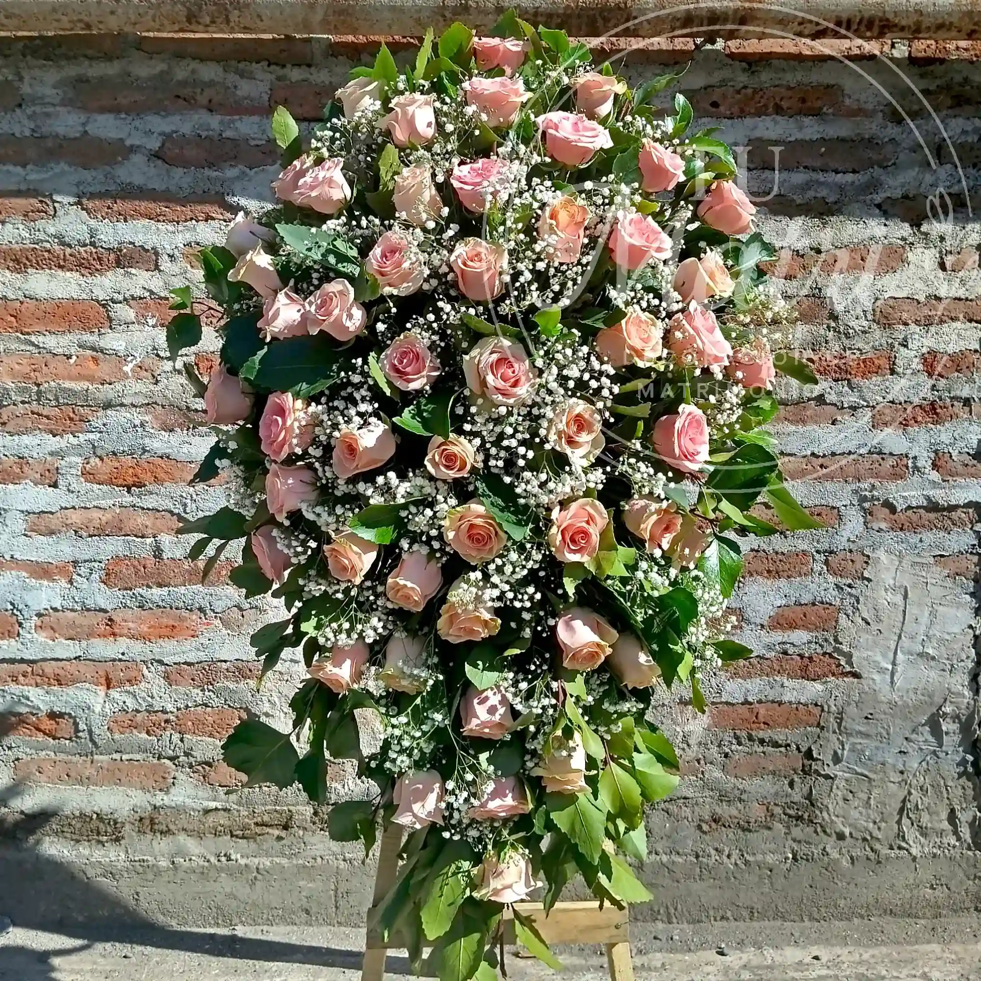 Lagrima de 50 rosas rosadas 4