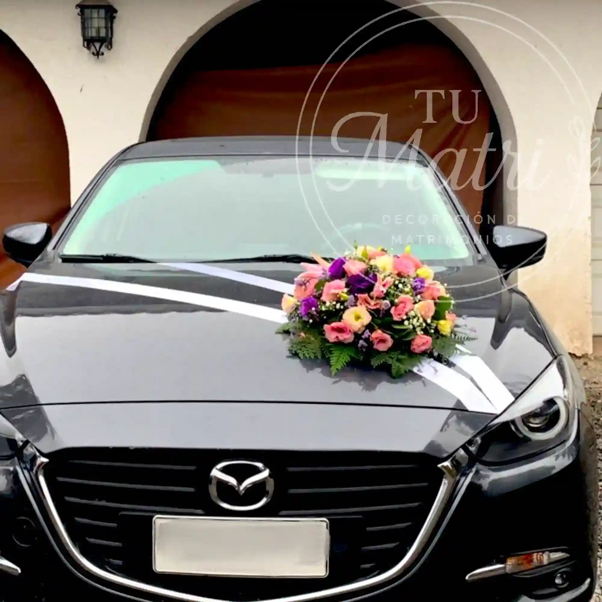 Cojín pequeño para auto 4