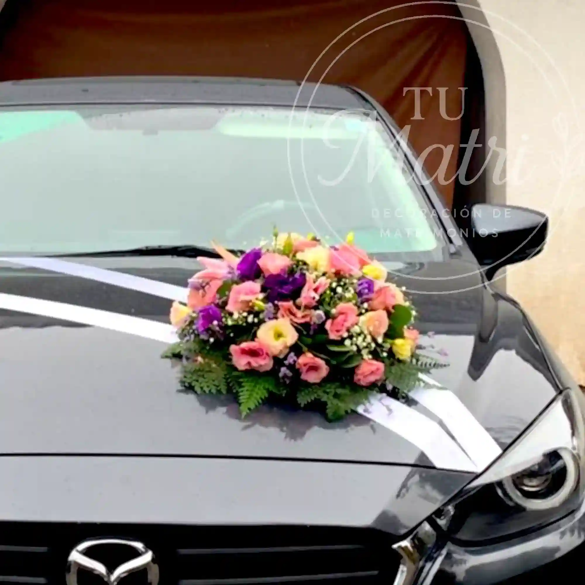 Cojín pequeño para auto 1