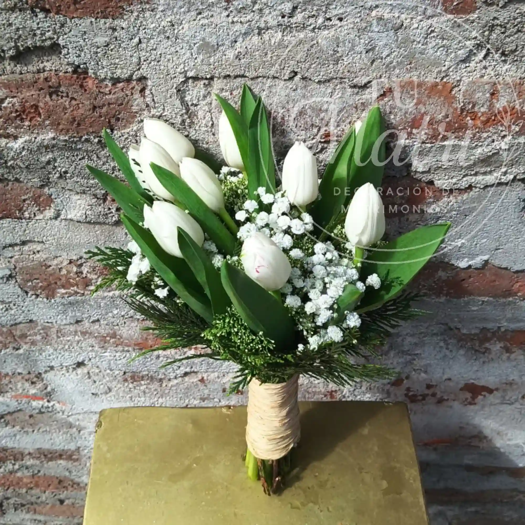 Ramo de 10 Tulipanes Blancos 1